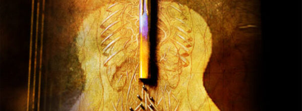 Tierra Querida (2011)